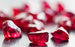 'Ruby đỏ' của Việt Nam ngon đến mức người Trung Quốc cũng phải tấm tắc khen: xuất khẩu mỗi năm hàng trăm nghìn tấn, chất lượng tốt nhất thế giới