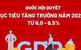 Chi tiết các mục tiêu tăng trưởng kinh tế năm 2024