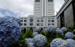 Vụ "cướp" ngân hàng cực lớn không thể tin nổi ở Costa Rica