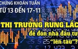 Infographic: Chứng khoán tuần tới 13 đến 17-11: Thị trường rung lắc để đón nhà đầu tư “lên tàu”?