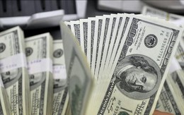 Goldman Sachs: Sức bền của kinh tế Mỹ sẽ hạn chế đà giảm của đồng USD