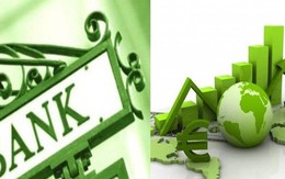 Từ ngày 15/12, thực hiện thống kê tăng trưởng xanh trong lĩnh vực vốn đầu tư, trái phiếu, tín dụng