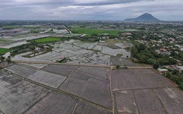 Tây Ninh: Xử lý nghiêm việc xây nhà trái phép trên đất trồng lúa
