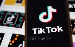 Sau Meta, đến lượt TikTok phản ứng với Đạo luật các thị trường số của EU