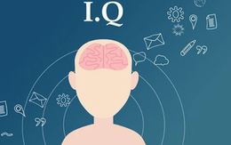 Nghiên cứu Harvard: Trẻ sinh vào 2 tháng này có chỉ số IQ cao, lớn lên có nhiều cơ hội thành công!