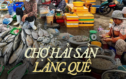 Ninh Thuận có duy nhất khu chợ trăm tuổi và người dân chỉ mẹo chọn hải sản ngon rẻ tại đây