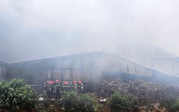 Cháy trang trại sản xuất nấm lớn nhất tỉnh Lâm Đồng
