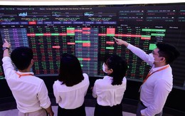Chứng khoán ngày 20/11: VN-Index hồi phục với thanh khoản thấp, cổ phiếu công ty chứng khoán “bốc đầu”