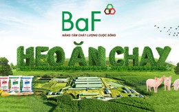 Nông nghiệp BaF (BAF) muốn chào bán cổ phiếu ra công chúng với giá thấp hơn 60% so với thị giá