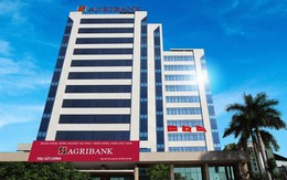 Agribank 7 năm liên tiếp nằm trong TOP10 Doanh nghiệp lớn nhất Việt Nam