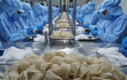 Khánh Hòa lần đầu tiên xuất khẩu chính ngạch tổ yến sang Trung Quốc
