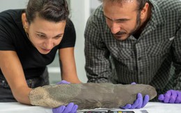 Phát hiện báu vật 200.000 năm của “người khổng lồ khác loài”