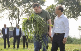 Bộ trưởng Nông nghiệp Kaluga ấn tượng với trang trại TH true MILK