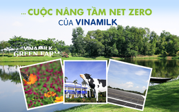 Đằng sau những đồi phân bò không mùi, siêu nhà máy ‘Tự cung tự cấp’ năng lượng của Vinamilk