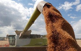 Ukraine tự mở hành lang mới đưa ngũ cốc ra thế giới bất chấp rủi ro ở Biển Đen