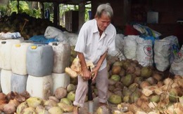 Dị nhân miền Tây bị mù vẫn dùng tay không lột vỏ 200 trái dừa/ngày, ghi nhớ được 1.000 số điện thoại