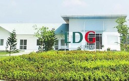 Chủ tịch LDG từng “bán chui” hàng triệu cổ phiếu trước khi bị khởi tố, công ty lỗ lớn trong 9 tháng, thị giá rơi từ 25.000 về dưới 4.000 đồng
