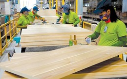 Đơn hàng phục hồi, ngành gỗ khởi sắc