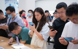 Huawei như "phượng hoàng tái sinh", lập kỳ tích xuất thần ở Trung Quốc: Ai nói iPhone 15 mới là nhất?