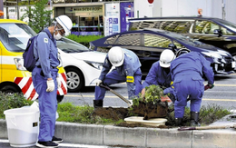 Độc lạ Nhật Bản: Sắp tổ chức lễ bổ quả dưa hấu được giải cứu từ giải phân cách, vé vào cửa hơn 80 nghìn đồng