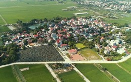 Hà Nội: Đấu giá 66 lô đất ở tại Thường Tín, giá khởi điểm từ 17,5 triệu đồng/m2