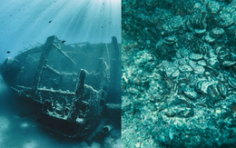 Phát hiện 50.000 vật thể giá trị dưới đáy biển, dân tình suy đoán là ‘tàn tích’ của vụ chìm tàu bí ẩn trong lịch sử cổ đại