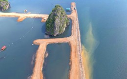 Đỗ Gia Capital bị phạt 125 triệu đồng vì xây dựng dự án ảnh hưởng môi trường biển Quảng Ninh