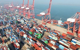 Trung Quốc tăng nhập khẩu - Cơ hội lớn cho Việt Nam