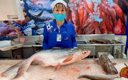 Co.opmart, Co.opXtra chính thức phân phối cá tra dầu “báu vật sông Mekong”