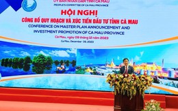 Tập đoàn Bamboo Capital đẩy mạnh đầu tư vào các dự án điện gió và nghiên cứu đầu tư cảng biển, logistic tại Cà Mau