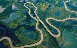 Vì sao sông Amazon dài nhất thế giới nhưng không có  cây cầu nào bắc qua? Câu trả lời khiến nhiều người phải bất ngờ