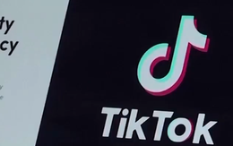 TikTok trở lại thị trường thương mại điện tử Indonesia