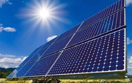 Agribank rao bán khoản nợ có khả năng mất vốn của công ty sản xuất pin năng lượng mặt trời