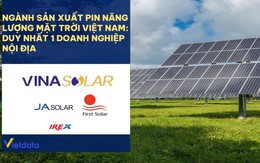 Khối ngoại “độc bá” thị trường pin năng lượng mặt trời tỷ USD tại Việt Nam