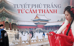Du khách Việt may mắn được 'săn' tuyết rơi đầu mùa đẹp như phim ở Tử Cấm Thành (Trung Quốc)