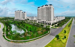 Điểm đến của lễ hội và sự kiện tại đảo tự nhiên Đông Sài Gòn