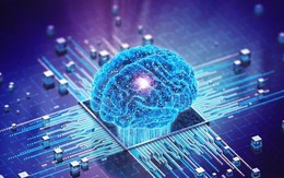 Lần đầu tiên, các nhà khoa học kết hợp AI để tạo ra 'máy tính sinh học'