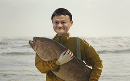 Buồn của Jack Ma: Thương hiệu hải sản ra mắt rầm rộ, nhưng ngày đầu chưa chốt nổi 100 đơn hàng trên “sân nhà” Tmall