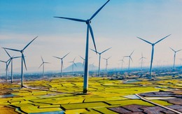 Trung Nam Group hợp tác với doanh nghiệp Trung Quốc làm cụm dự án điện gió 916 MW