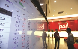 Cổ đông SSI thông qua phương án phát hành thêm hơn 453 triệu cổ phiếu nâng vốn điều lệ vượt 19.600 tỷ đồng