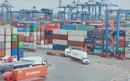 TP HCM thu gần 3.800 tỉ đồng phí cảng biển
