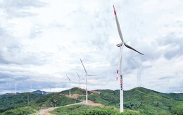 Nhà đầu tư Trung Quốc muốn mua lại 50% một dự án điện gió trị giá 2.000 tỷ đồng của Tập đoàn AMACCAO