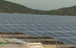 Loạt dự án điện mặt trời ở Bình Thuận "chiếm dụng đất", khởi công khi Thủ tướng chưa cho phép