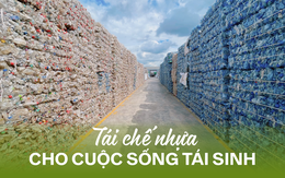 DUYTAN Recycling và hành trình tái chế nhựa cho cuộc sống tái sinh