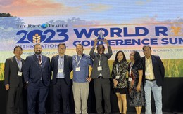 Thông tin bất ngờ vụ tranh cãi gạo ST25 đoạt giải ngon nhất thế giới