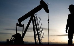 Giá dầu thấp nhất gần 5 tháng