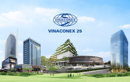 Công ty thuộc họ Vinaconex vừa thu về 120 tỷ đồng từ bán cổ phiếu để trả nợ ngân hàng