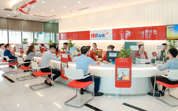 HDBank tiếp tục lộ trình giảm đầu tư ngoài ngành, tập trung mảng kinh doanh chính, hiện thực hóa mục tiêu lợi nhuận