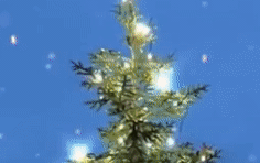 ĐH Oxford "chơi lớn" dựng cây thông Noel ngoài trời cho sinh viên "sống ảo", tiệc Giáng sinh sang chảnh cũng rất là mê
