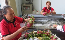 Xuất khẩu nông sản sang Trung Quốc: Chuẩn bị cho 'cuộc chơi' mới